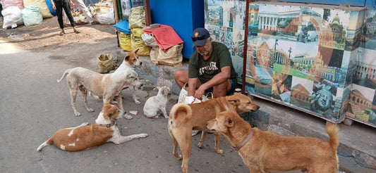 Support the voiceless animals at Risk: The Story of Suman and His 80 Rescued Dogs.